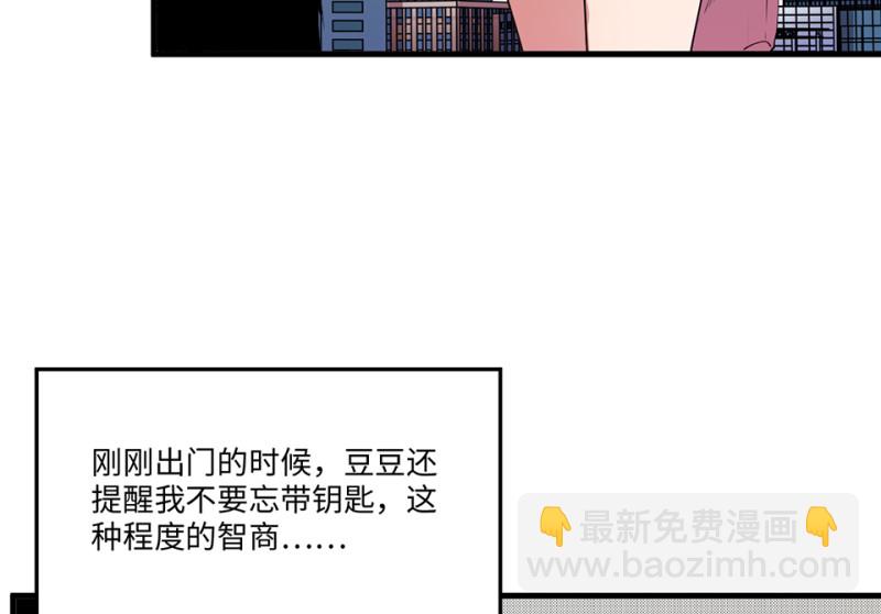 宠物食粮·二81