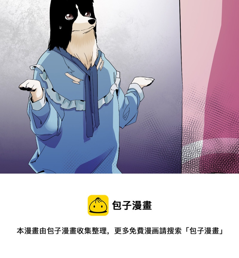 宠物食粮·四118