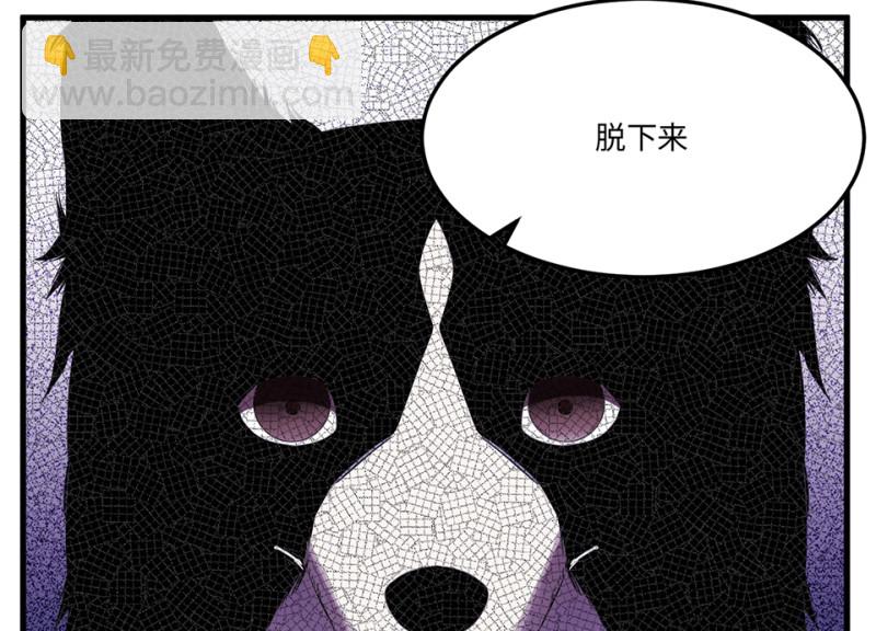 宠物食粮·四126