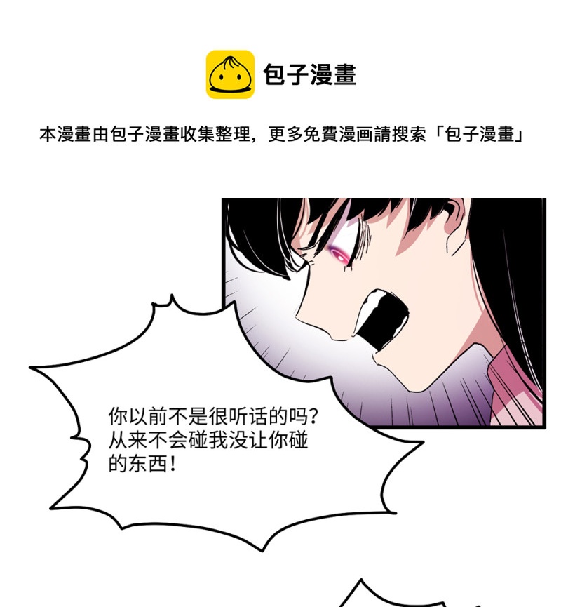 宠物食粮·四138