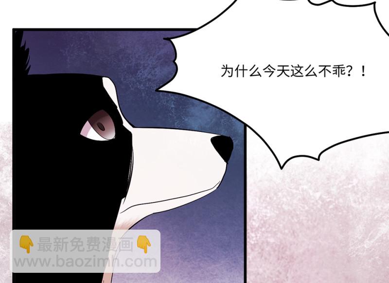 宠物食粮·四139