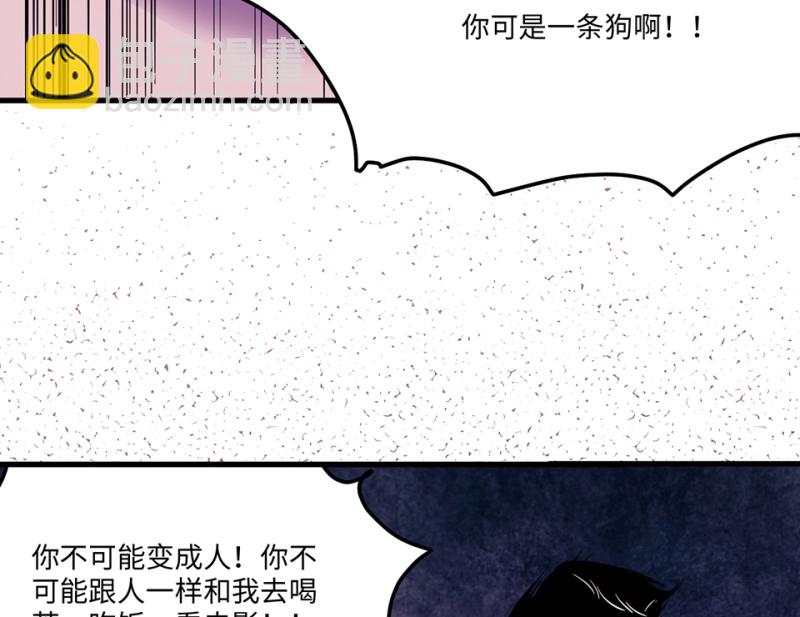 宠物食粮·四145