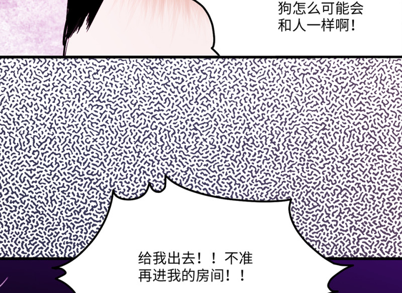 宠物食粮·四147