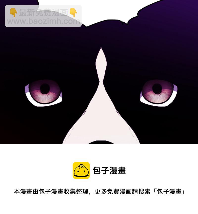 宠物食粮·四148