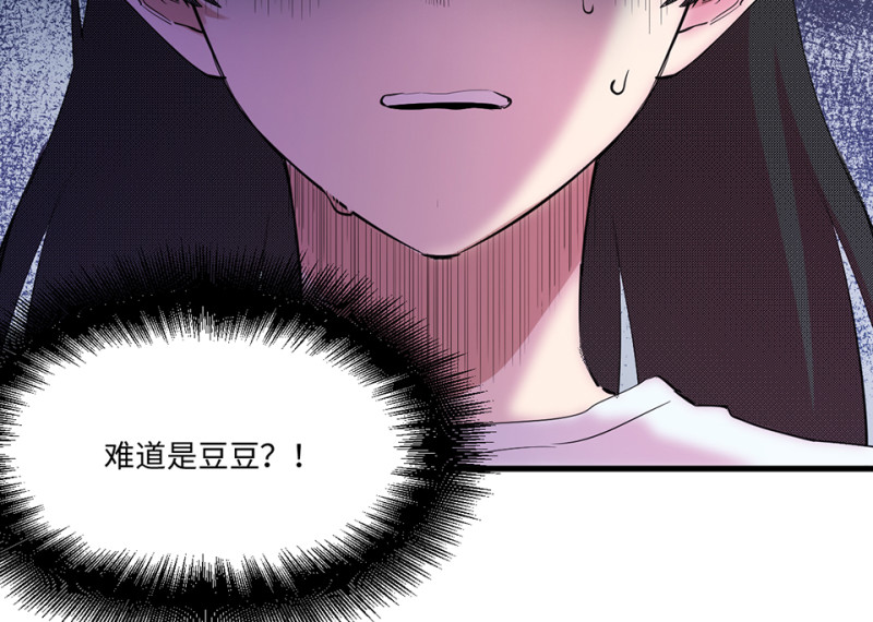 宠物食粮·四49