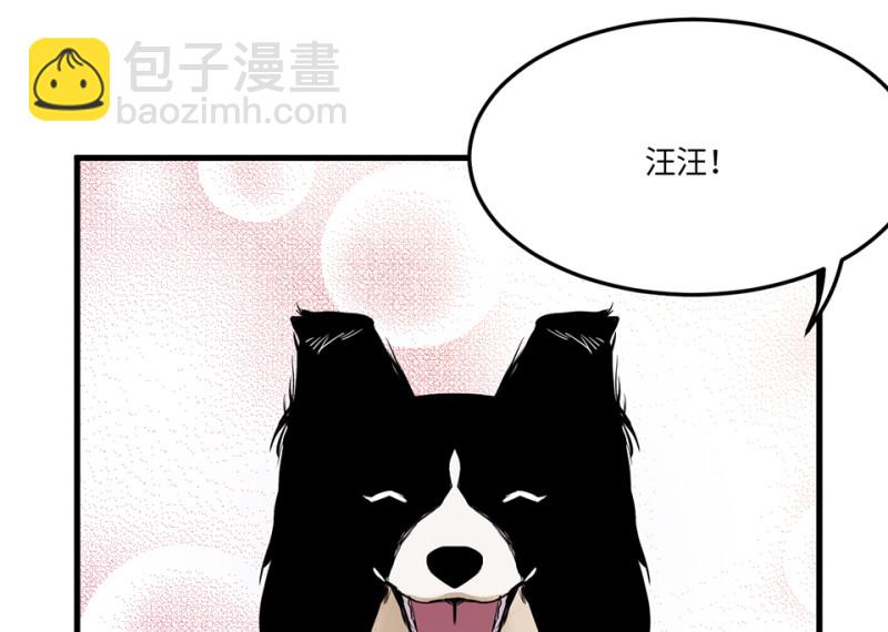 宠物食粮·四66