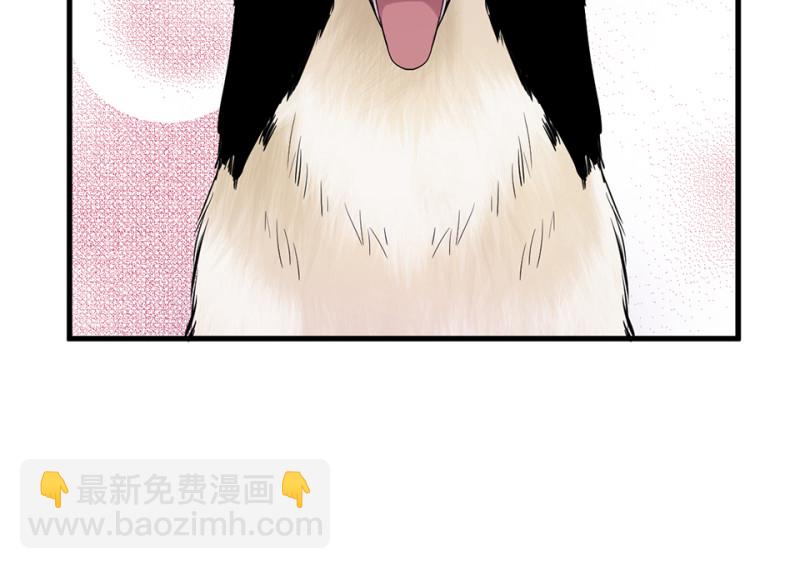 宠物食粮·四67