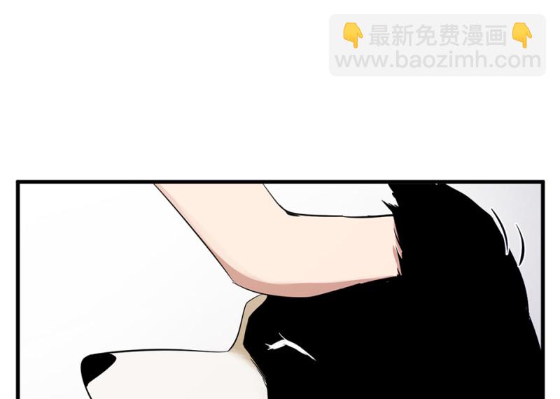 宠物食粮·四70