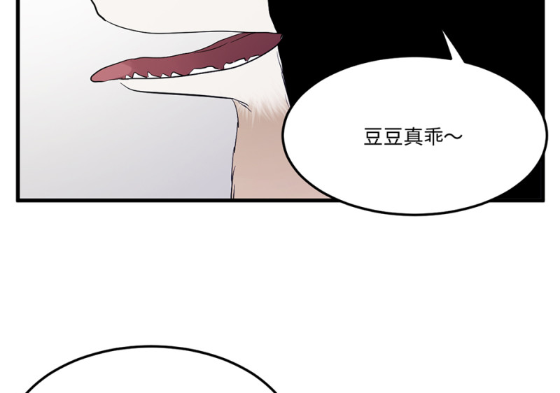 宠物食粮·四71