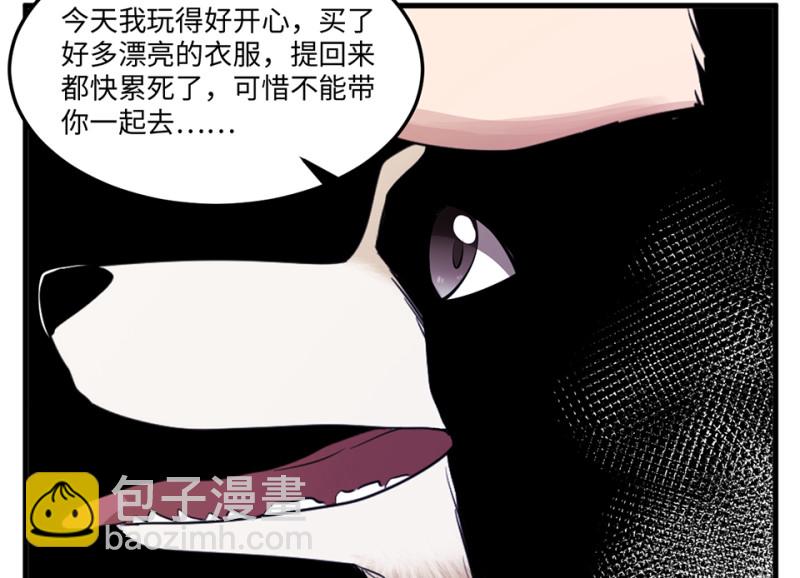 宠物食粮·四72