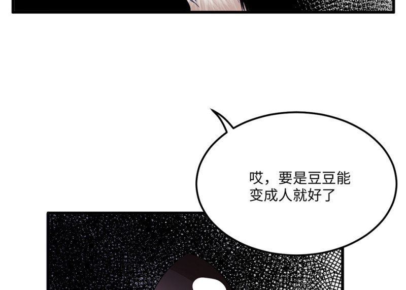 宠物食粮·四73