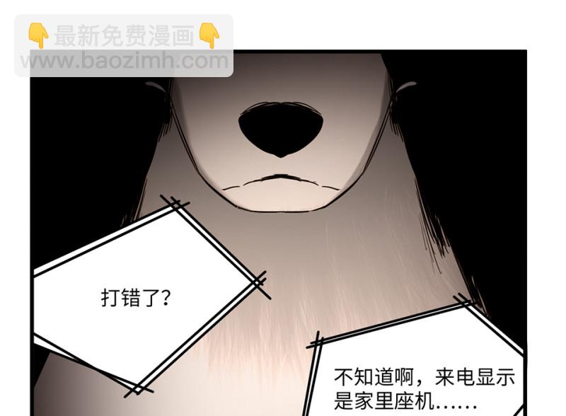 宠物食粮·四75