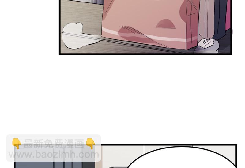 宠物食粮·四78