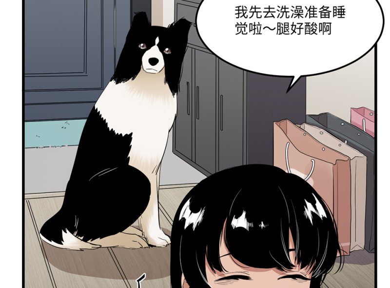宠物食粮·四79