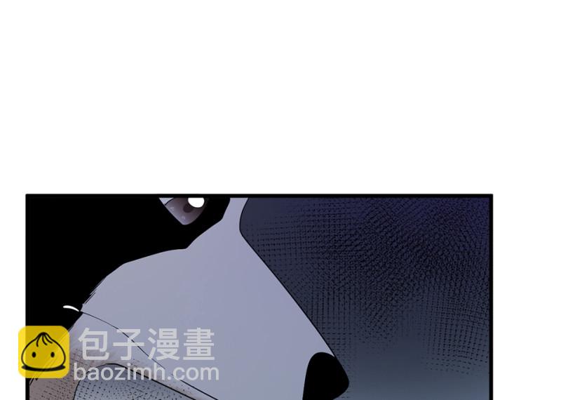 宠物食粮·四81