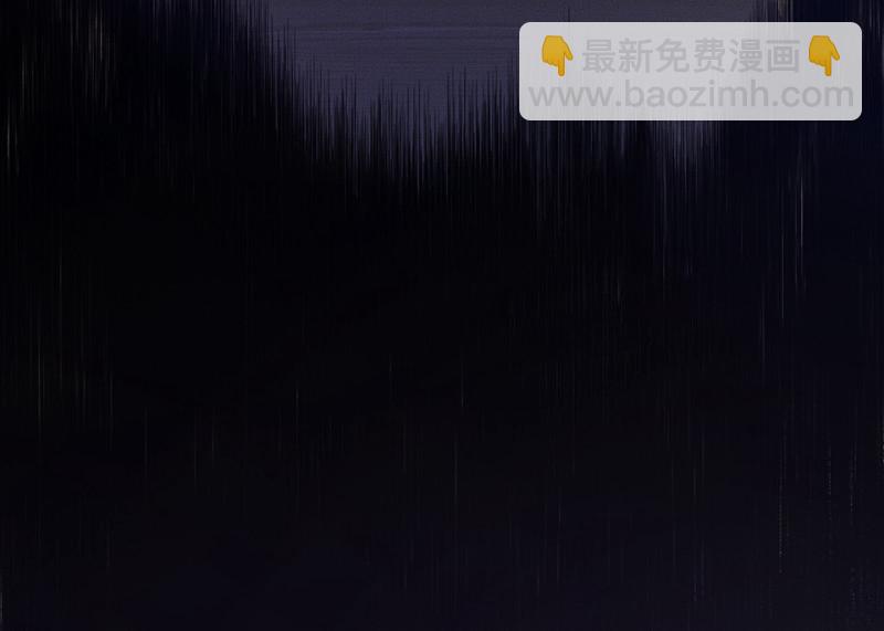 宠物食粮·四85