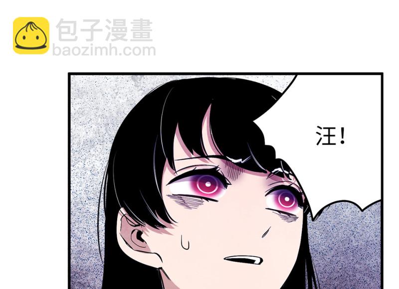 宠物食粮·四97