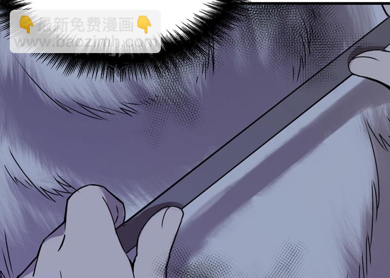 宠物食粮·七102