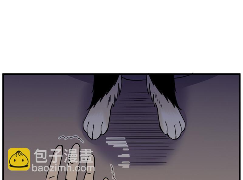 宠物食粮·七134