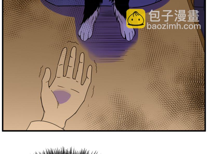 宠物食粮·七136