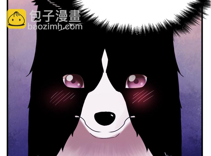 宠物食粮·七146