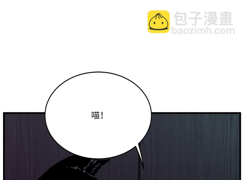 宠物食粮·七151