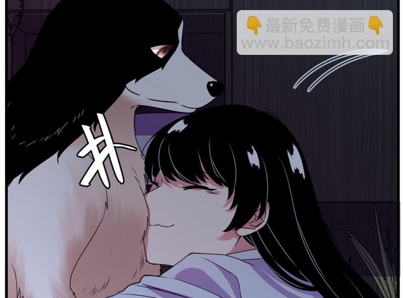 宠物食粮·七152