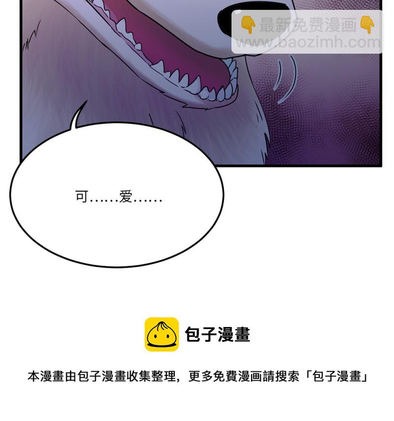 宠物食粮·七162