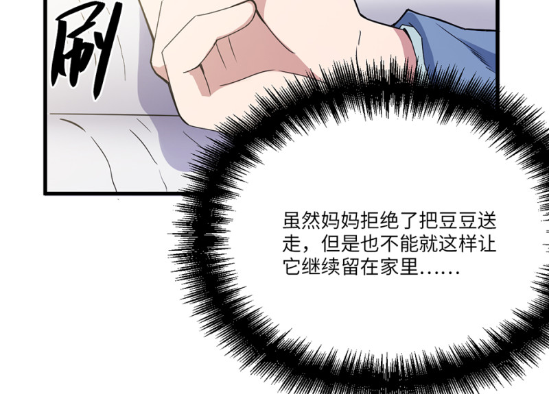 宠物食粮·七8