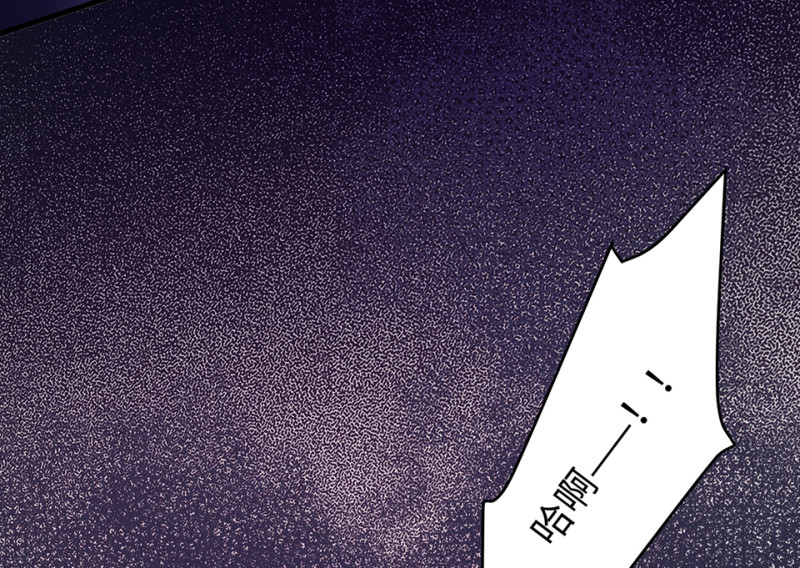 变身外套·六114
