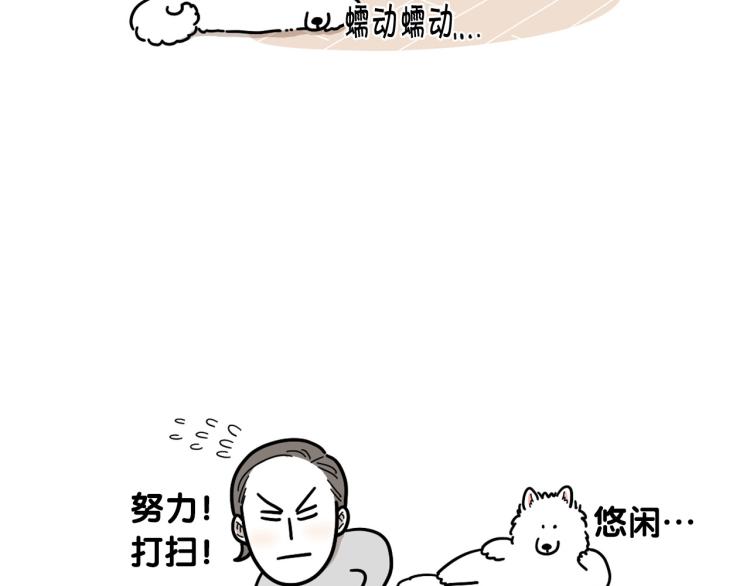 第1话 掉毛大王11