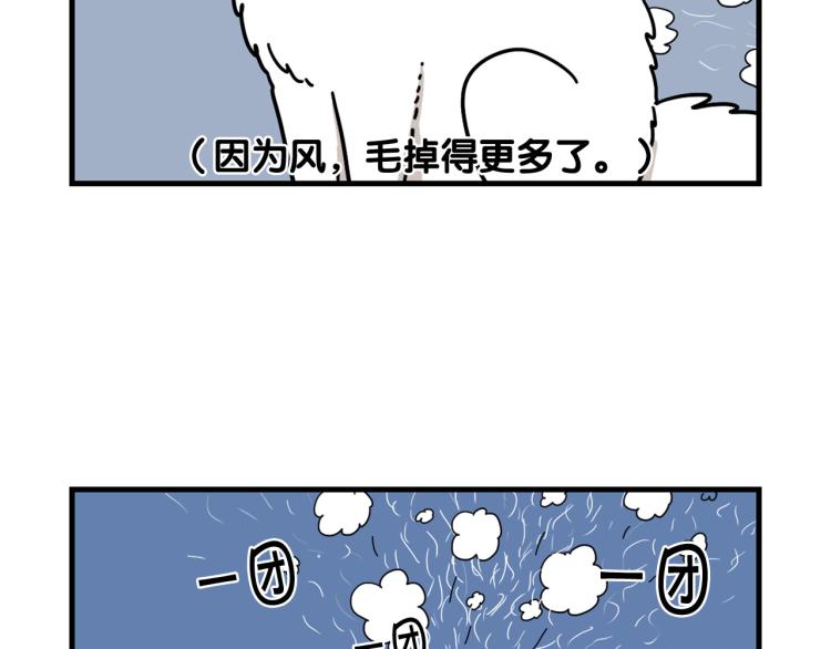 第1话 掉毛大王33