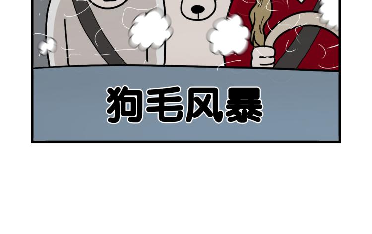 第1话 掉毛大王36