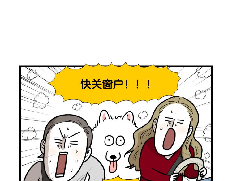 第1话 掉毛大王37