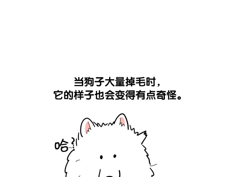 第1话 掉毛大王45
