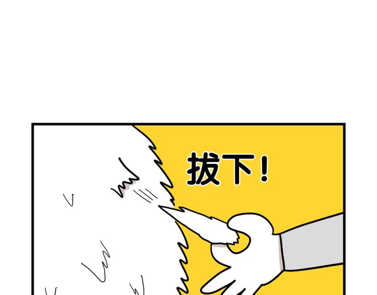 第1话 掉毛大王48