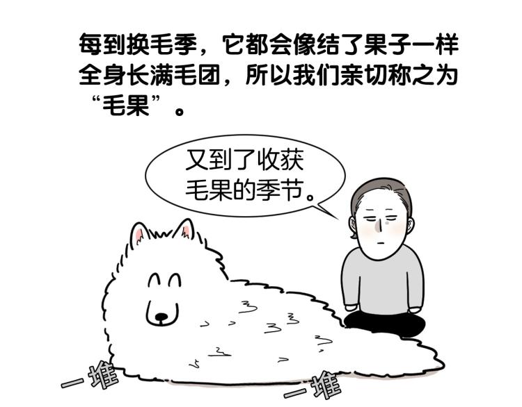 第1话 掉毛大王55