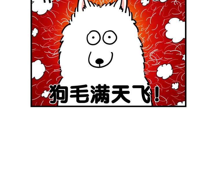 第1话 掉毛大王6