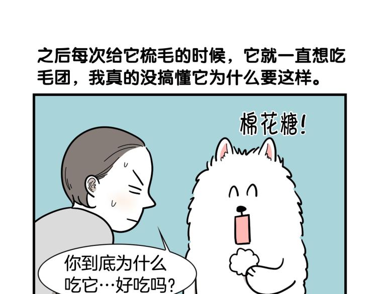 第1话 掉毛大王71