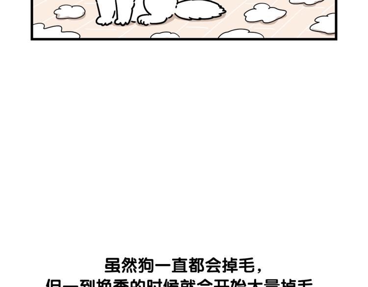 第1话 掉毛大王8