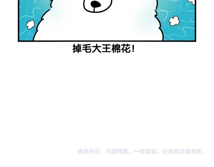 第1话 掉毛大王92