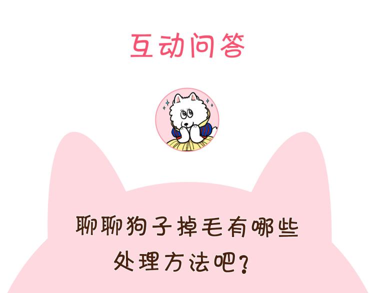 第1话 掉毛大王94