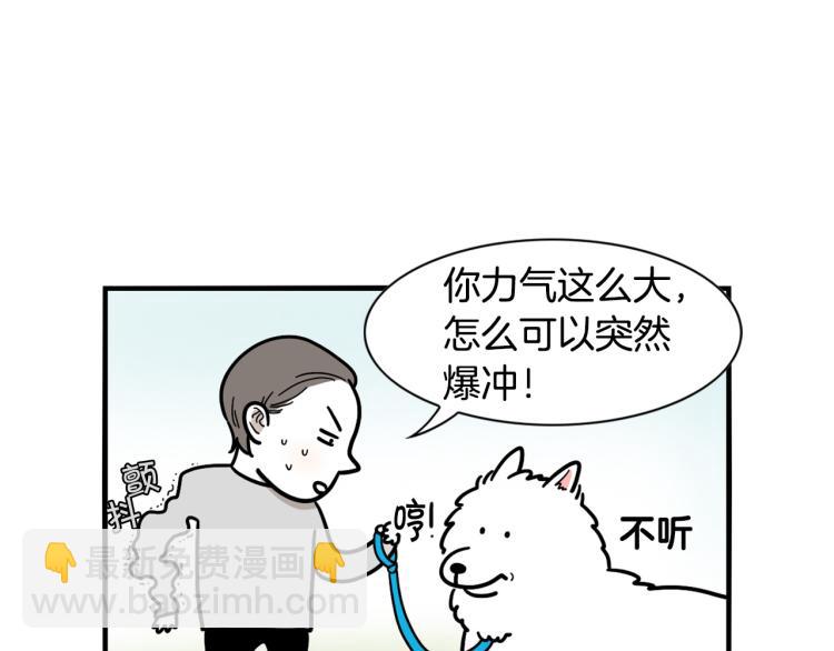 第4话 训练狗狗大作战！10