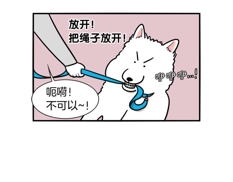 第4话 训练狗狗大作战！13