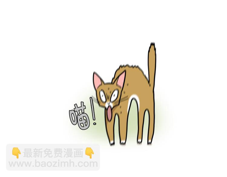 第4话 训练狗狗大作战！17