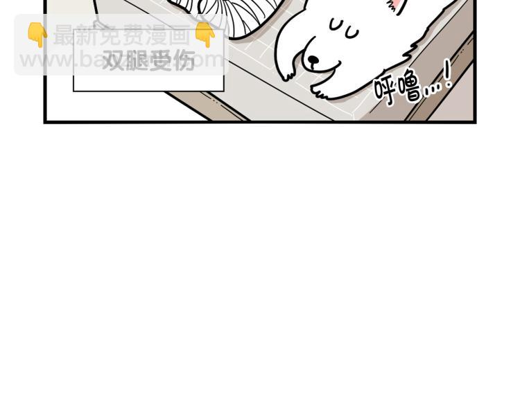 第4话 训练狗狗大作战！38