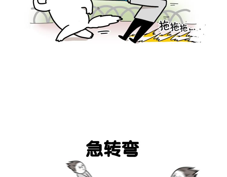 第4话 训练狗狗大作战！5