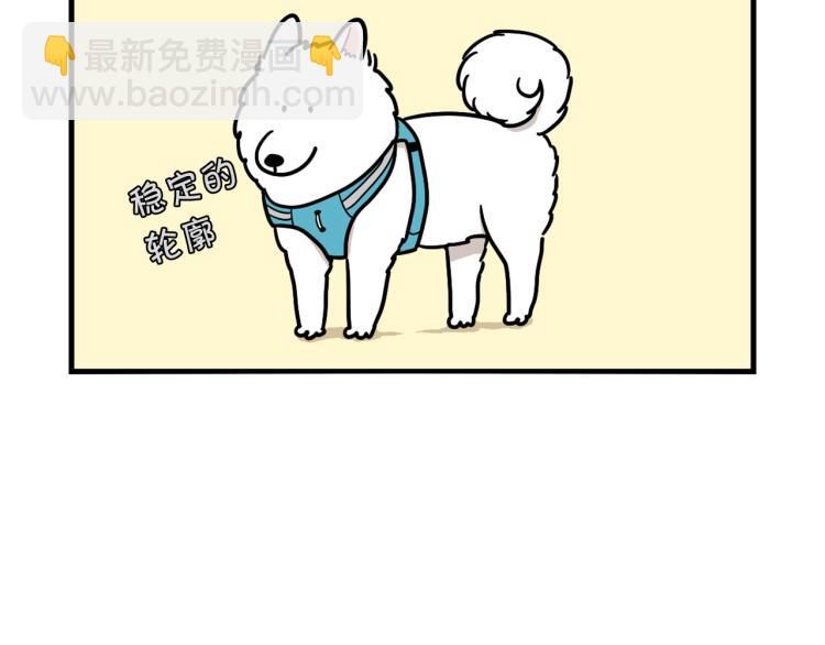 第4话 训练狗狗大作战！57