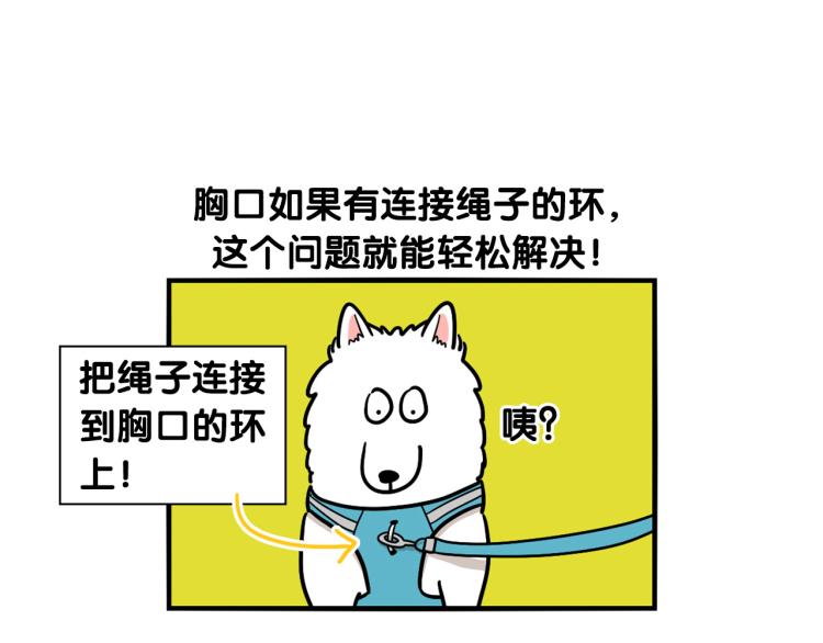 第4话 训练狗狗大作战！60
