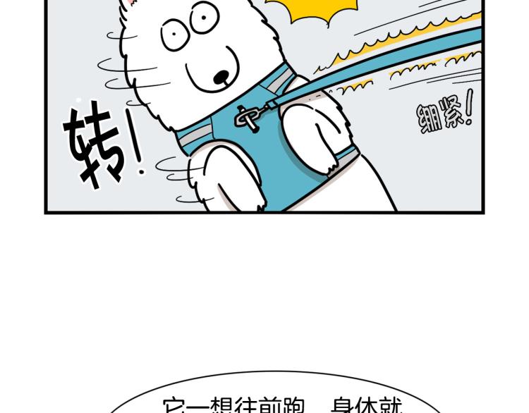 第4话 训练狗狗大作战！63